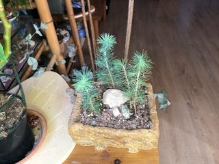 Vaso di pietra decorativo