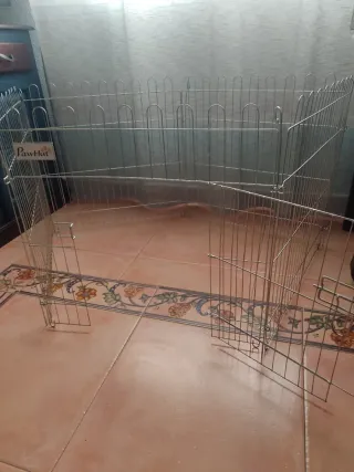 Corral para perros