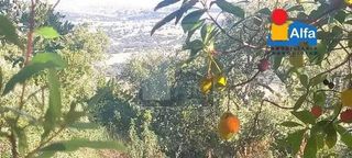 Terreno en venta en Ciudad Monumental en Cáceres