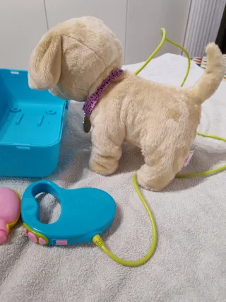 Peluche cane Baby Born con trasportino