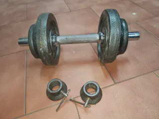 Mancuernas Van Allen con discos hasta 8.5 kilos