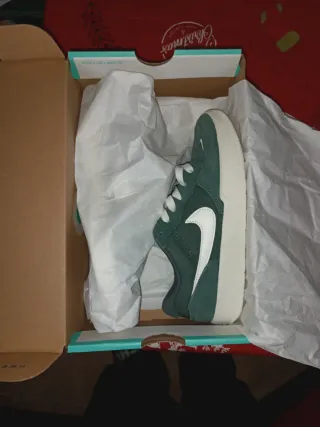 Nike SB Force Verde y Blanco