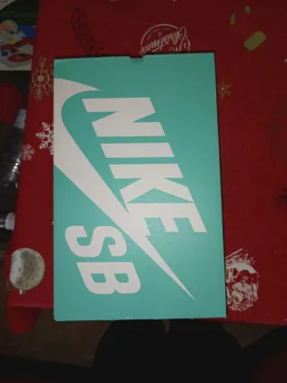 Nike SB Force Verde y Blanco