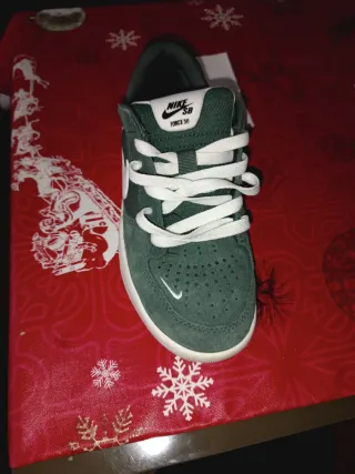 Nike SB Force Verde y Blanco