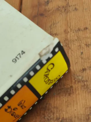 Libro Walt Disney 1971