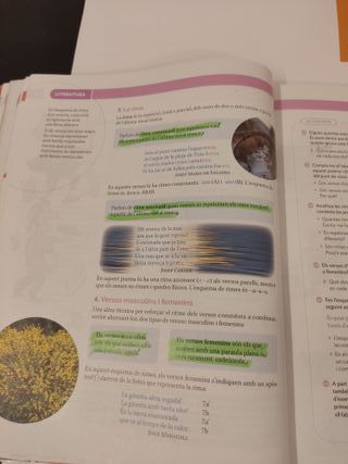 Lleng Ca i Lit 1r ESO Construint Mons - 9788413152462