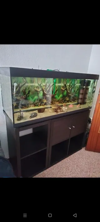 Acuario 240L con mueble