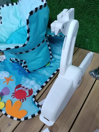 Asiento para el piso Baby Einstein 2 en 1