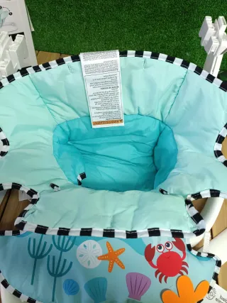 Asiento para el piso Baby Einstein 2 en 1