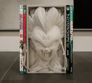 Book Nook Majin Vegeta