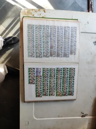 Riferimento Francobolli 311