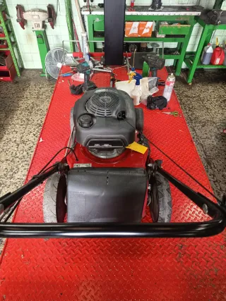 Cortacésped Raser Rojo