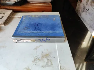 Riferimento Francobolli 355 Italia Michelangelo