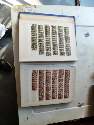 Riferimento Francobolli 355 Italia Michelangelo