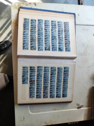 Riferimento Francobolli 355 Italia Michelangelo