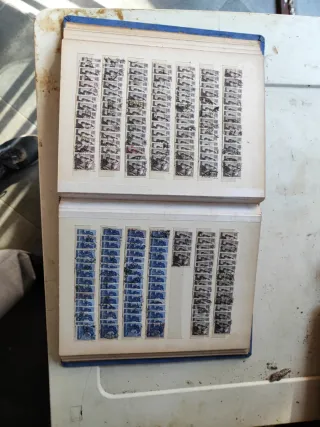 Riferimento Francobolli 355 Italia Michelangelo