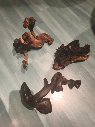 Raízes para acuario.