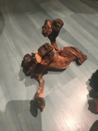 Raízes para acuario.