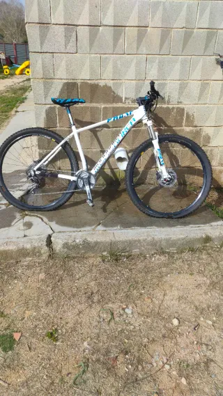 Mondraker Phase Pro SL 29" L