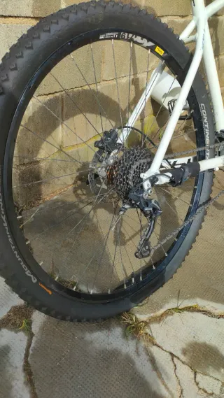 Mondraker Phase Pro SL 29" L