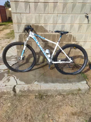 Mondraker Phase Pro SL 29" L