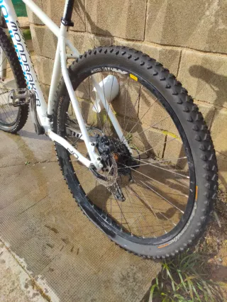 Mondraker Phase Pro SL 29" L