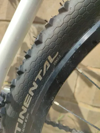 Mondraker Phase Pro SL 29" L