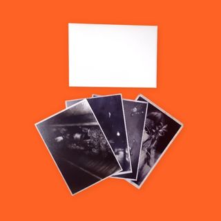 Project Zero: Maiden of Black Water NUEVO / Wii U