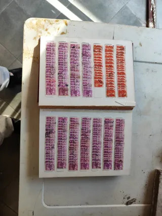 Riferimento Francobolli 462