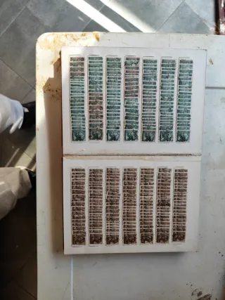 Riferimento Francobolli 462