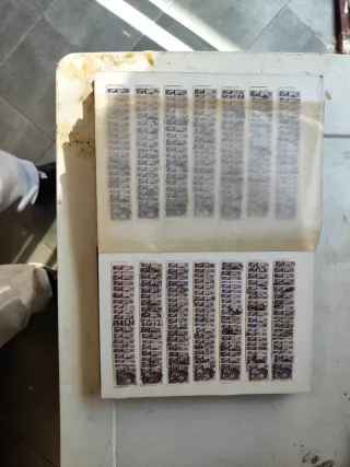 Riferimento Francobolli 462