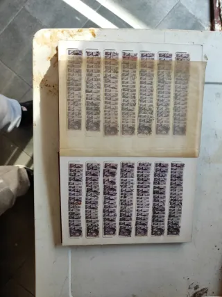 Riferimento Francobolli 462