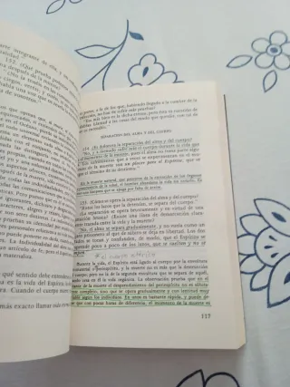 El Libro De Los Espiritus