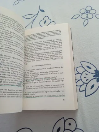 El Libro De Los Espiritus