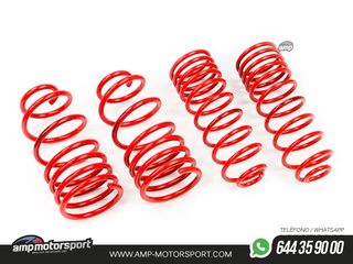 MUELLES DEPORTIVOS MTS TECHNIK MTSXFO174