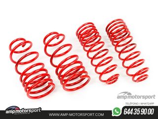 MUELLES DEPORTIVOS MTS TECHNIK MTSXVW203