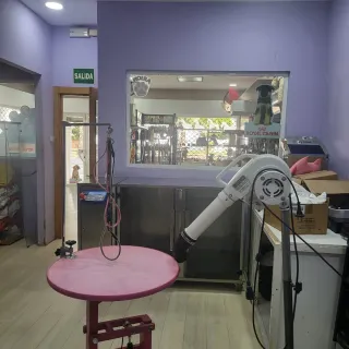 TRASPASO De PELUQUERÍA CANINA EN ESTEPONA .