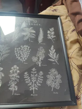 Cuadros Decorativos Herb & Vegetable Garden