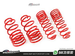 MUELLES DEPORTIVOS MTS TECHNIK MTSXLA008