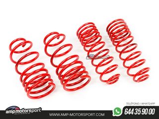 MUELLES DEPORTIVOS MTS TECHNIK MTSXSK097