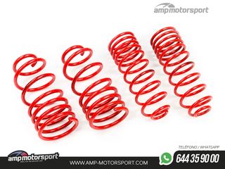 MUELLES DEPORTIVOS MTS TECHNIK MTSXCD016