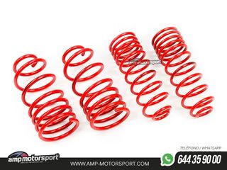 MUELLES DEPORTIVOS MTS TECHNIK MTSXSK032