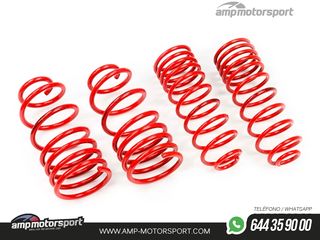 MUELLES DEPORTIVOS MTS TECHNIK MTSXVW091