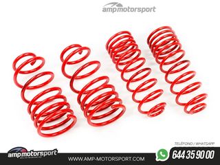 MUELLES DEPORTIVOS MTS TECHNIK MTSXVW042