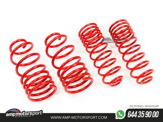 MUELLES DEPORTIVOS MTS TECHNIK MTSXSE141