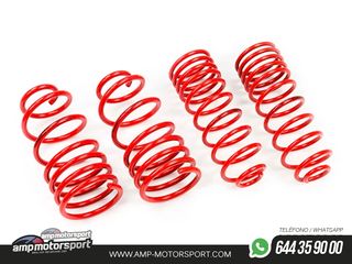 MUELLES DEPORTIVOS MTS TECHNIK MTSXSZ020