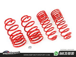 MUELLES DEPORTIVOS MTS TECHNIK MTSXSE112