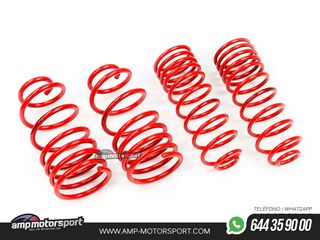 MUELLES DEPORTIVOS MTS TECHNIK MTSXFO023