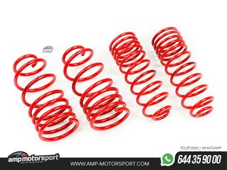 MUELLES DEPORTIVOS MTS TECHNIK MTSXSK026