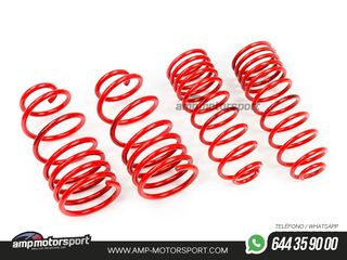 MUELLES DEPORTIVOS MTS TECHNIK MTSXSE135